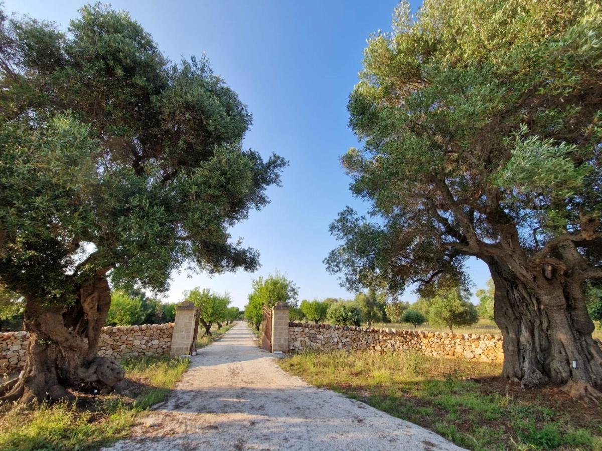 Masserina D'Aloia: Un Piccolo Tesoro Nella Natura Carovigno Buitenkant foto